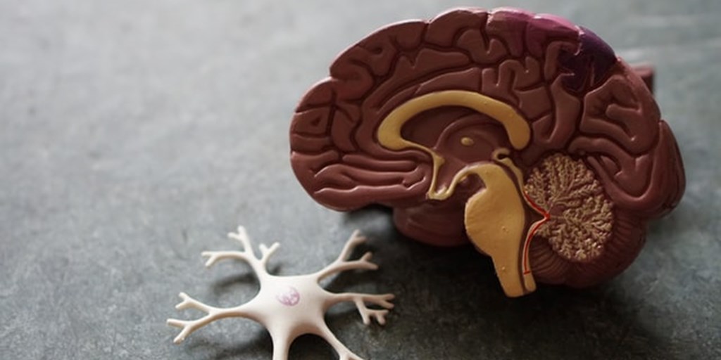 3 Qualities to Look For in a Brain Injury Attorney