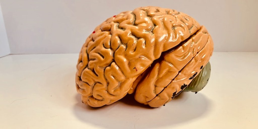 How Much Is My Traumatic Brain Injury Claim Worth?