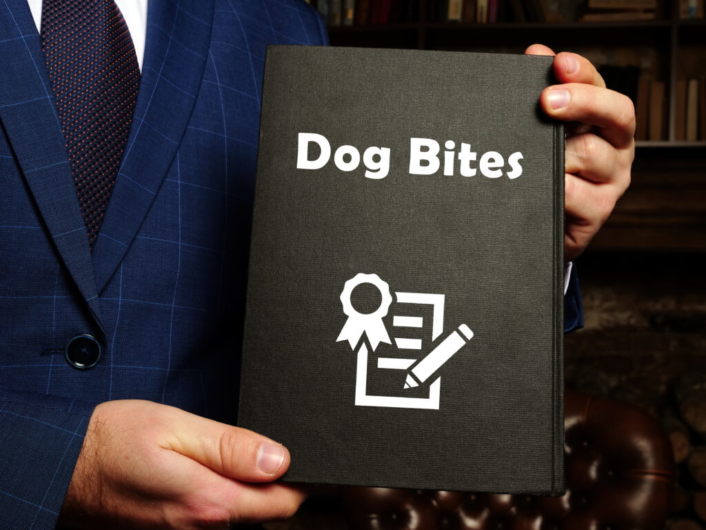 San Jose Dog Bite Lawyer