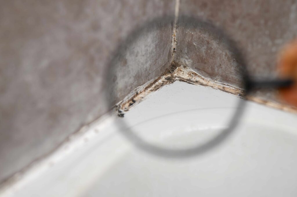 Close-up of mold growth and mildew buildup in bathroom tile corner inspected with magnifying glass