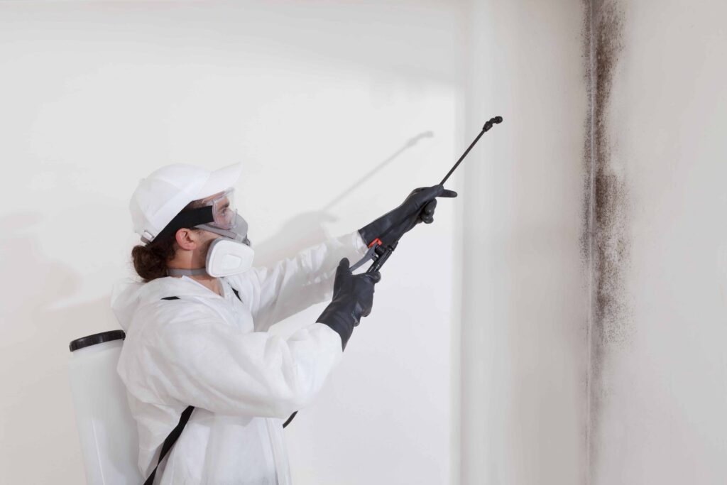 Mold remediation technician in protective suit spraying black mold on interior wall to remove toxic growth